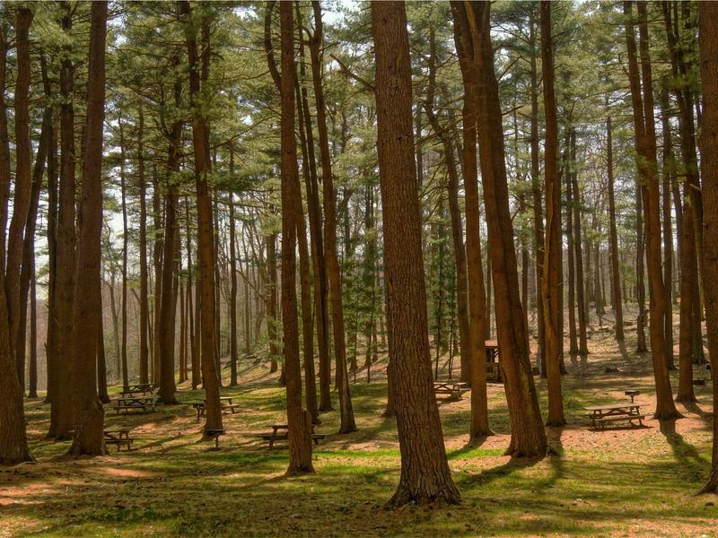 sudoku progress save screenshot 2