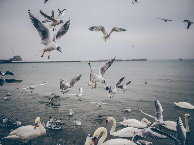 sudoku weekend challenge screenshot 6