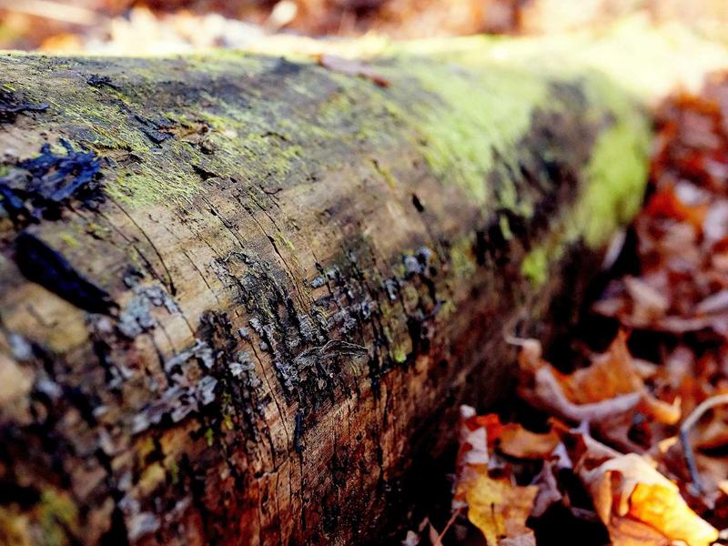 sudoku weekend challenge screenshot 3